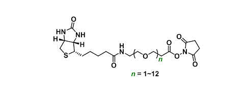 Biotin-PEGn-NHS ester